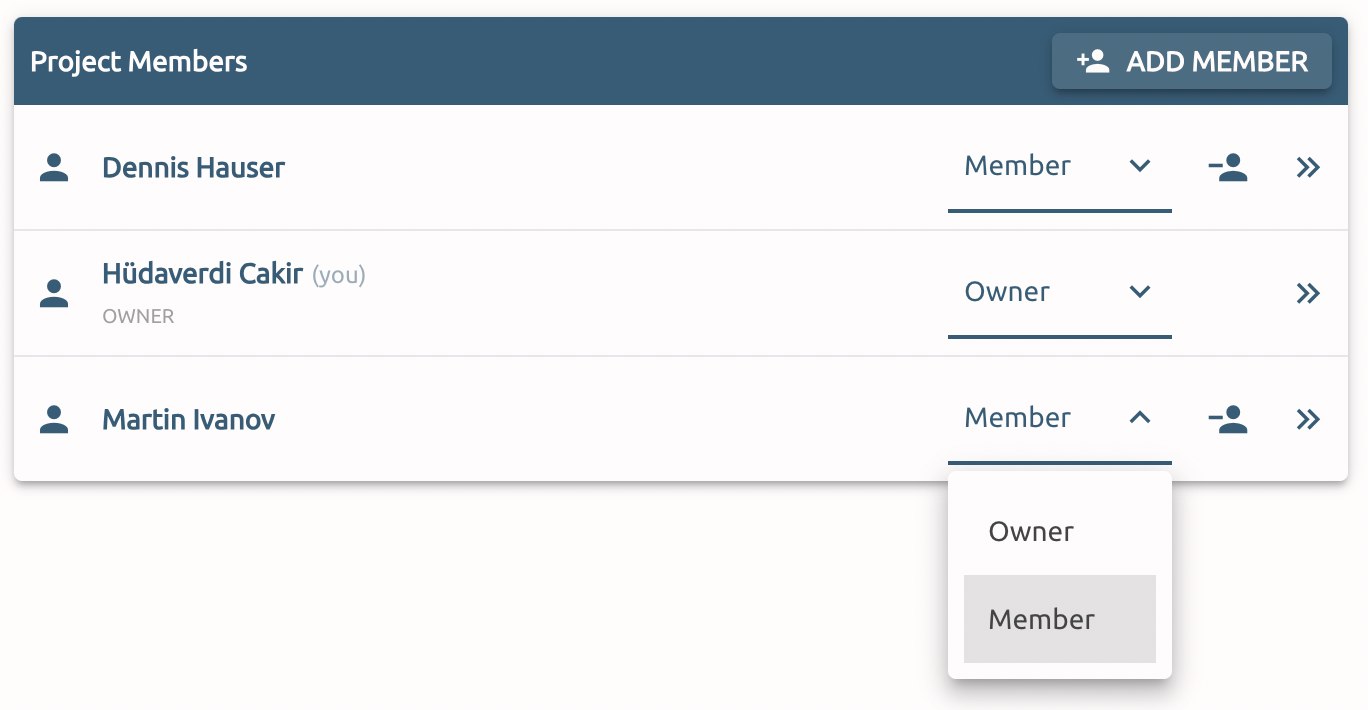 Assign or revoke project ownership to other members